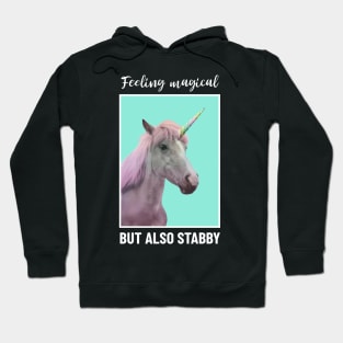 Feeling magical but also stabby Hoodie